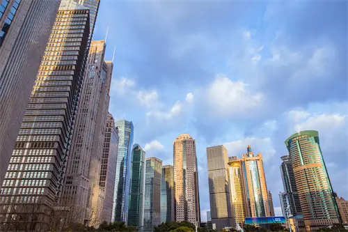 仓鼠旅游放哪里养